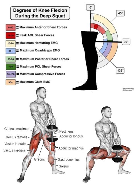 Degrees Of Knee Flexion During The Deep Squat Weight Training Fitness