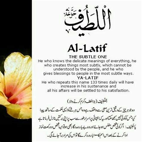 Asmaul husna bisa dibaca ketika selesai shalat atau dibaca di saat tertentu. 30 Al Latif (The Subtle One) | Beautiful names of allah, Allah names, Allah