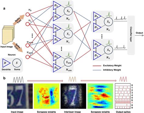 Simulation Of Multilayer Neural Network With Artificial Dendrites A