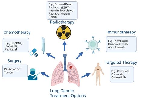 The Treatment Options For Lung Cancer Are Surgery Chemotherapy Download Scientific Diagram