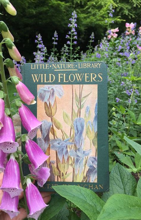 Wild Flowers Worth Knowing 1922 Hardcover 48 Color Photographs