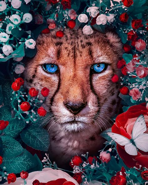 Surreal Animal Artworks By Andreas Häggkvist Daily Design Inspiration