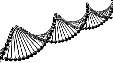 Dna Helix Clipart Free Download On Clipartmag