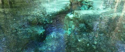 Gilchrist blue springs state park is a beautiful little gem located in gilchrist county, florida. New State park in Florida. The crystal clear water of ...