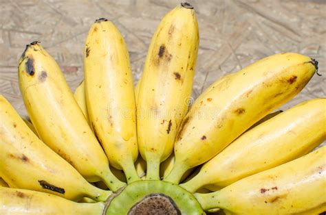 Banana Bunch Stock Photo Image Of Yellow Organic Food 31453056