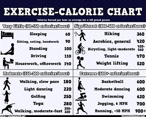 How To Burn Calories Fast Exercise Online Degrees