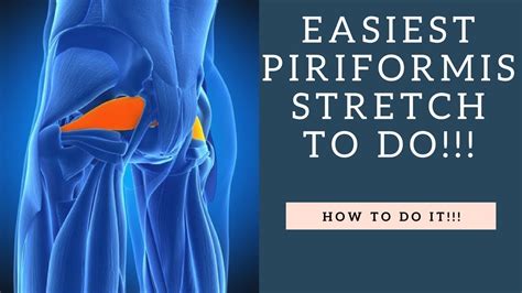 Best Piriformis Muscle Stretch For Low Back Pain Hip Pain And Sciatica