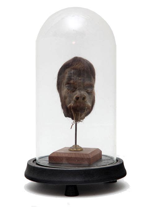 110 Skulls And Shrunken Heads Ideas Shrunken Head Skull Art Macabre