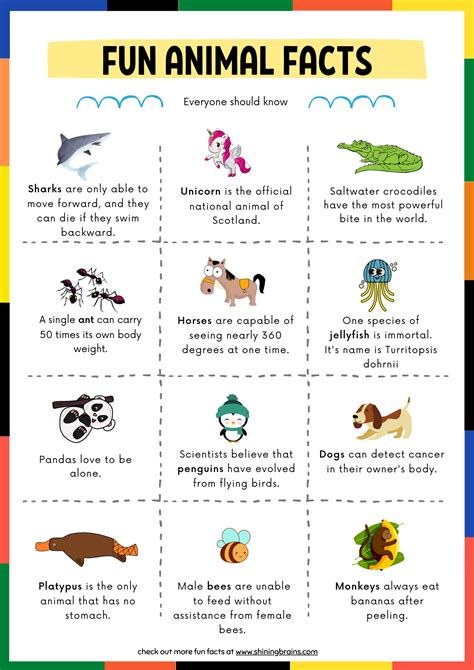12 Fun Facts About Animals For Kids Free Printable Shining Brains