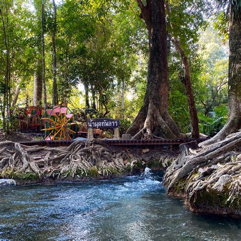 Maybe you would like to learn more about one of these? ขอขอบคุณคณะครู นักเรียน ที่น่ารักจร้า... - แพฟ้าใส เขื่อน ...