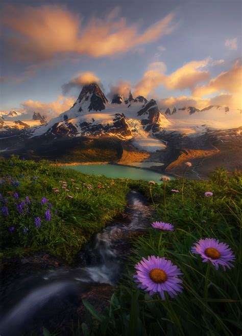 Field Of Dreams 2016 Coast Mountains British Columbiaalaska