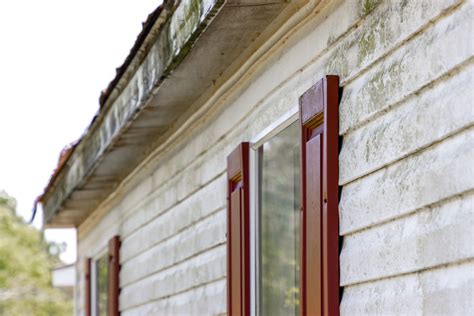 How to Prevent Mold on Vinyl Siding | How Do You Prevent Mold on Siding