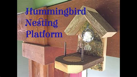 Hummingbird Nesting Box Feeders And Birdhouses Outdoor And Gardening