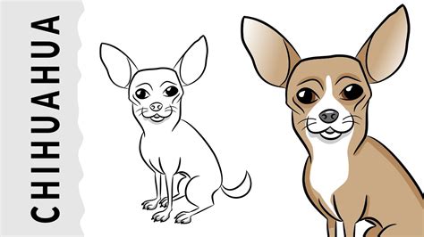 Como Dibujar Un Perro Chihuahua Kawaii Reverasite