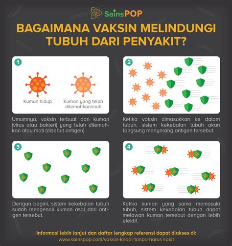 Buku Panduan Pelayanan Kesehatan Ibu Dan Anak-Macam Macam Imunisasi Dan Tempat Penyuntikan Sederet Tempat