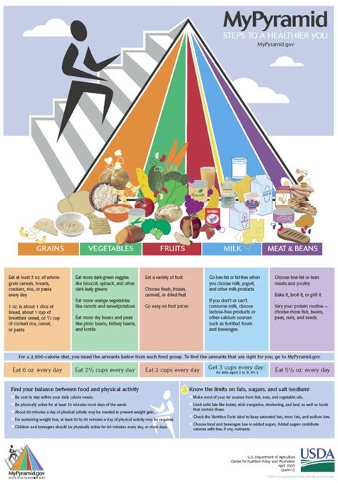 Usda Guidelines Food Pyramid Healthy Eating Guidelines Pyramids