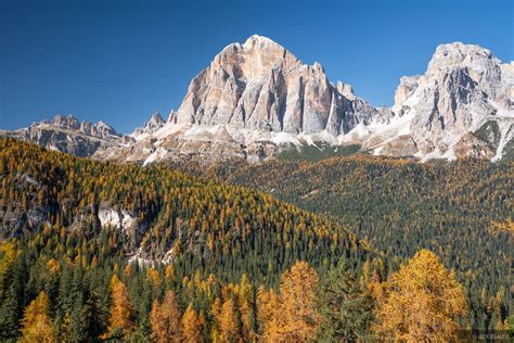 Tofana Autumn Forest Dolomites Italy Mountain Photography By Jack