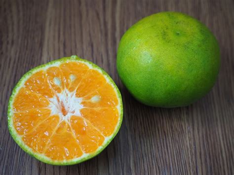 Green Oranges Top Facts And Tips
