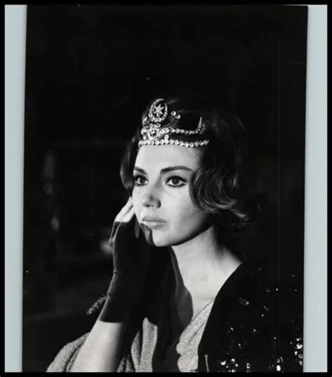 Sylva Koscina Italian Actress Stunning Portrait 1960s Vintage Original