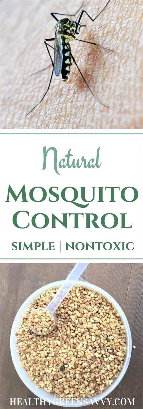 Natural Mosquito Control Finally An Easy Non Toxic Way To Kep Your