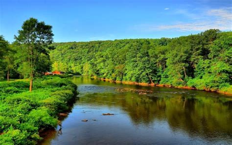 River Leak Of Water Dense Forest From Green Trees Nature Blue Sky