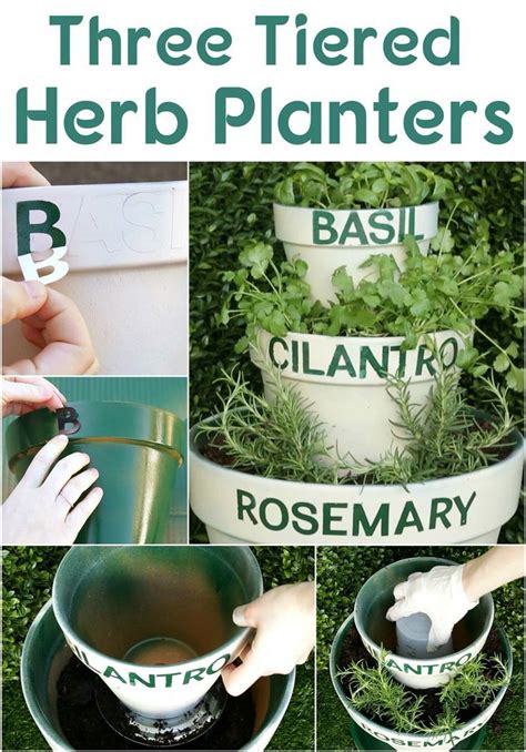Heres The Easiest Way To Grow Your Own Herbs In 2021 Herb Planters