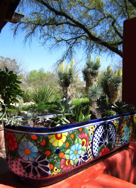 The best in design, decoration and style. Tucson Botanical Gardens - Wikipedia