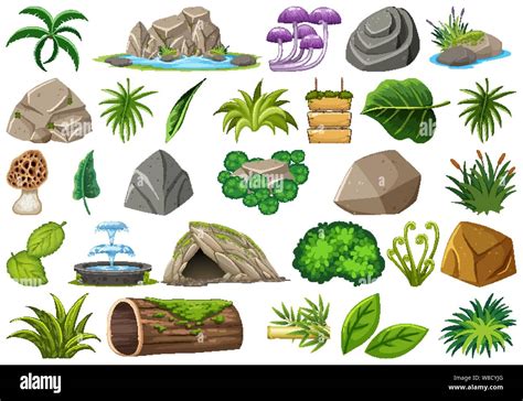 Set Of Isolated Objects Theme Nature Illustration Stock Vector Image