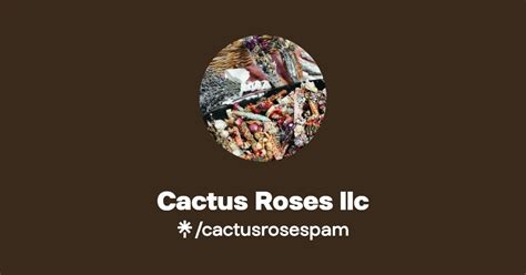 Cactus Roses Llc Instagram Facebook Tiktok Linktree