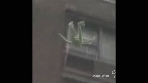 The gif dimensions 200 x 200px was uploaded by anonymous user. Kermit jumps off building - YouTube