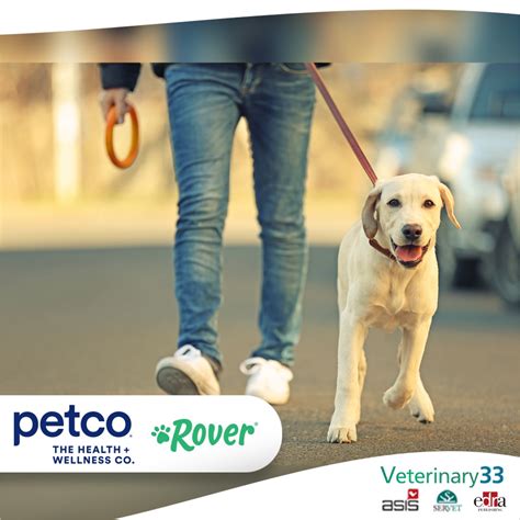Petco Rover Pet Sitting Dog Walking And Boarding Veterinary 33