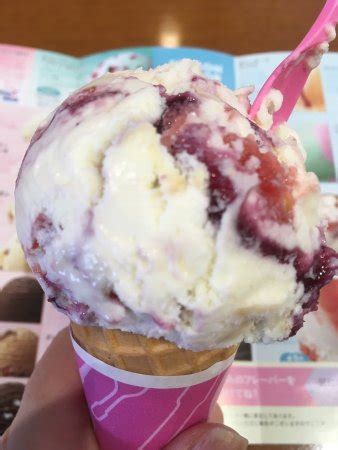 Baskin Robbins Ice Cream Aeon Mall Nigata Minami Niigata Restaurant Reviews Photos