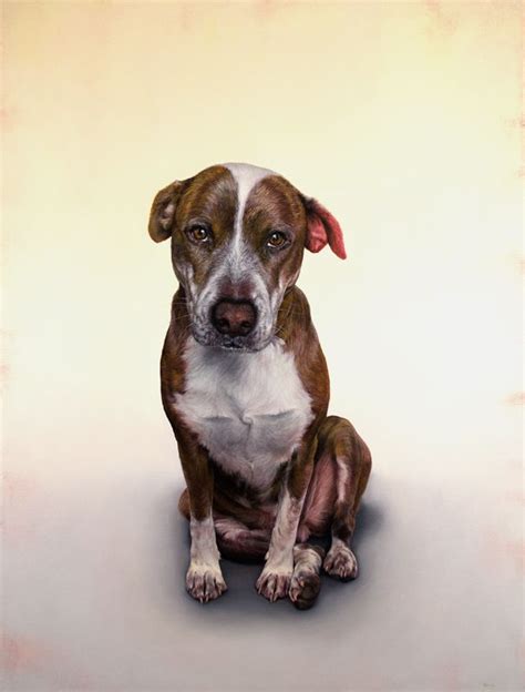 New York City Dog Portrait And Oil Paintings For Sale By Dana Hawk Dog