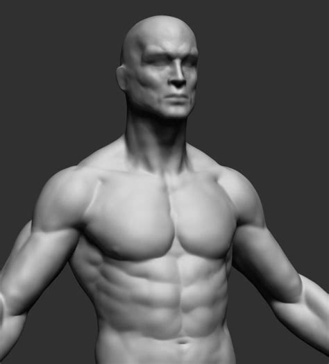 In the upper chest, the heart and lungs are protected by the rib cage, and. Male Upper Body 02 3D Model OBJ ZTL | CGTrader.com