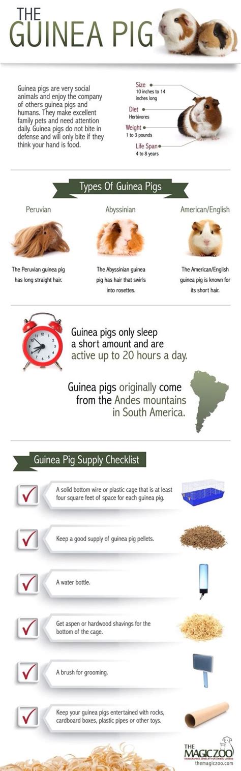 They go through several normal sleep cycles in the course of 24 hours. Pin on Animals
