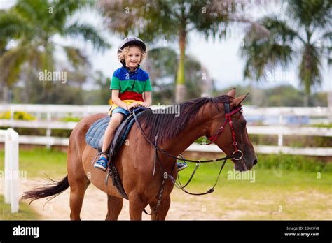 Kids Ride Horse Child On Pony In Tropical Resort Horseback Riding