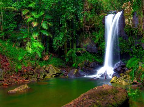 wonderful tropical waterfall jungle green tropical vegetation palm trees rocky shore rocks moss