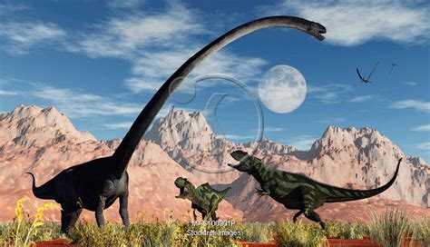 A Pair Of Yangchuanosaurus Dinosaurs Confront An Omeisaurus