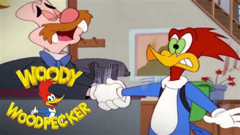 Woody Woodpecker Woody And Wally Team Up To Save Hotel Full Episode