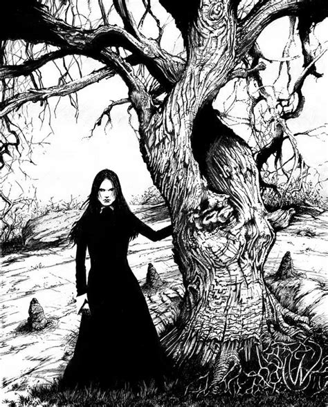 Witch Tree By Monstermansion On Deviantart