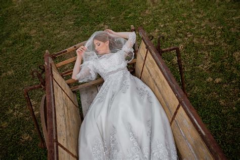 Free Picture Carriage Sleeping Beauty Wedding Dress Veil Wedding Sleeping Bride Rural
