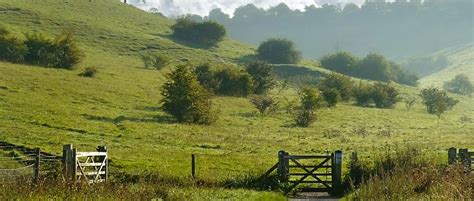 South Downs National Park In Hampshire Visit Uk