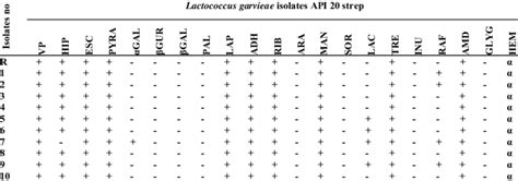The Test Results Api 20 Strep For Identification Of L Garvieae