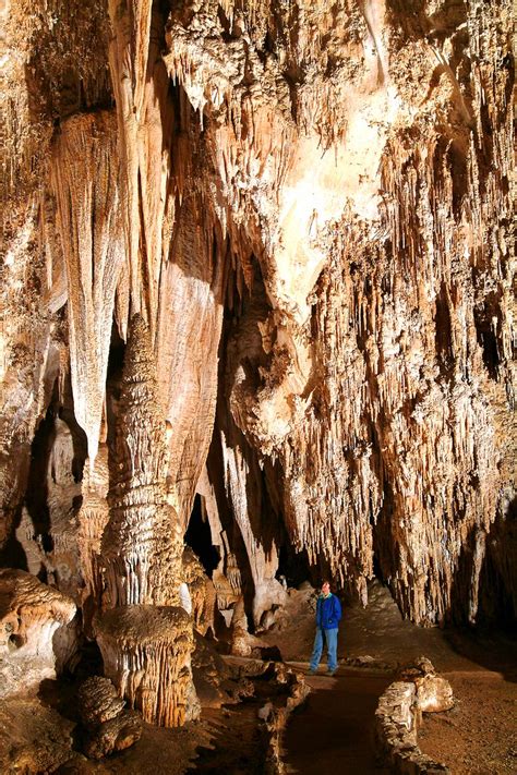 carlsbad national caverns mexico xcitefunnet