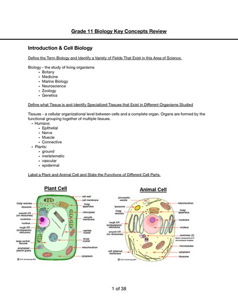 Gr 11 Biology Exam Review Grade 11 Biology Key Concepts Review