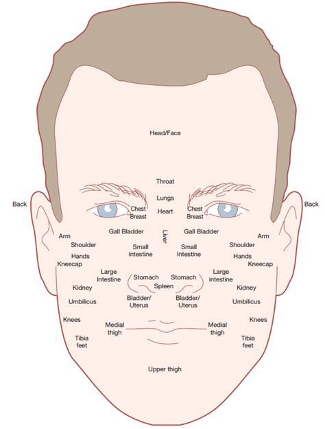 gua sha face map gua sha facial chart