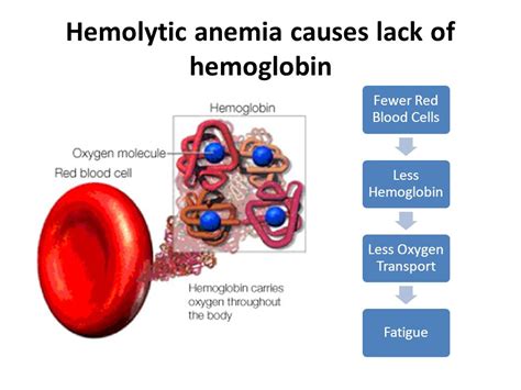 Signs And Symptoms Of High Hemoglobin The Request Could Not Be Satisfied