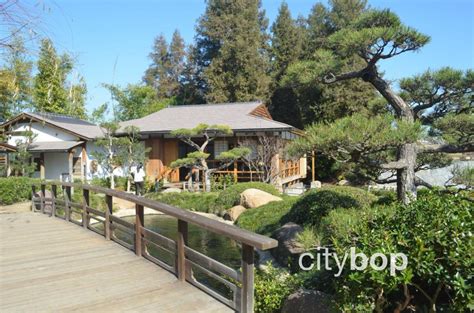 10 Best Attractions At Japanese Garden Los Angeles Citybop