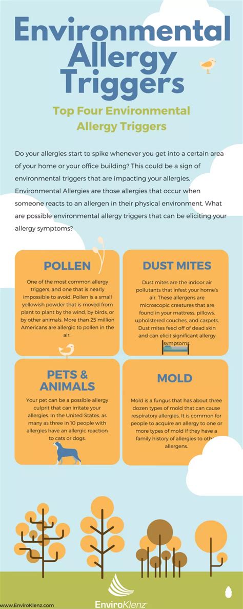 Environmental Allergies Can You Have An Allergic Reaction To Mold