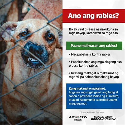 Abs Cbn News Kapamilya Mag Ingat Sa Rabies Siguruhing